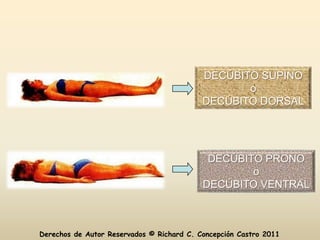 DECÚBITO SUPINO
                                                  o
                                           DECÚBITO DORSAL




                                            DECÚBITO PRONO
                                                   o
                                           DECÚBITO VENTRAL



Derechos de Autor Reservados © Richard C. Concepción Castro 2011
 