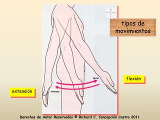 tipos de
                                                     movimientos




                                                           flexión

extensión




   Derechos de Autor Reservados © Richard C. Concepción Castro 2011
 