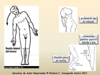extensión de
                                                           la cabeza




                                                            extensión
                                                         plantar para el
                                                           tobillo y pie




                                   flexión para
                                     la rodilla




Derechos de Autor Reservados © Richard C. Concepción Castro 2011
 