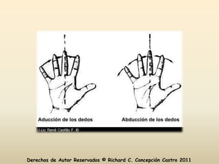 Derechos de Autor Reservados © Richard C. Concepción Castro 2011
 
