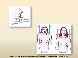 Derechos de Autor Reservados © Richard C. Concepción Castro 2011
 