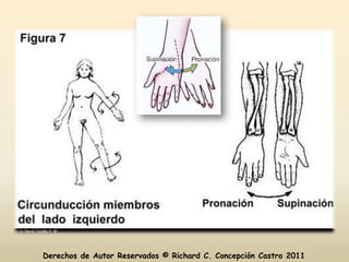 Derechos de Autor Reservados © Richard C. Concepción Castro 2011
 