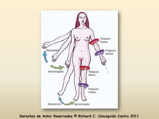 Derechos de Autor Reservados © Richard C. Concepción Castro 2011
 