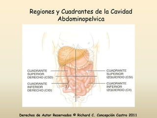 Regiones y Cuadrantes de la Cavidad
              Abdominopelvica




Derechos de Autor Reservados © Richard C. Concepción Castro 2011
 