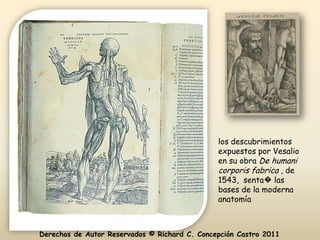 los descubrimientos
                                               expuestos por Vesalio
                                               en su obra De humani
                                               corporis fabrica , de
                                               1543, senta� las
                                               bases de la moderna
                                               anatomía



Derechos de Autor Reservados © Richard C. Concepción Castro 2011
 