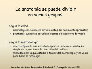 La anatomía se puede dividir
             en varios grupos:

• según la edad
   – embriológica: cuando se estudia antes del nacimiento (prenatal)
   – postnatal: cuando se estudia el cuerpo del adulto ya formado


• según la metodología
   – macroscópica: la que estudia las partes del cuerpo visibles a
     simple vista, mediante la disección del cadáver
   – microscópica: la que estudia a través del microscopio y se va un
     poco hacia la histología.



    Derechos de Autor Reservados © Richard C. Concepción Castro 2011
 