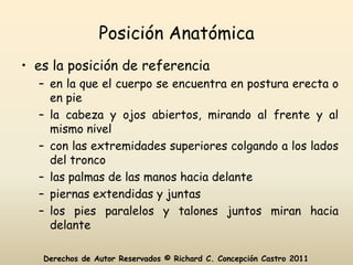 Posición Anatómica
• es la posición de referencia
  – en la que el cuerpo se encuentra en postura erecta o
    en pie
  – la cabeza y ojos abiertos, mirando al frente y al
    mismo nivel
  – con las extremidades superiores colgando a los lados
    del tronco
  – las palmas de las manos hacia delante
  – piernas extendidas y juntas
  – los pies paralelos y talones juntos miran hacia
    delante

   Derechos de Autor Reservados © Richard C. Concepción Castro 2011
 