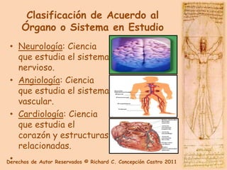 Clasificación de Acuerdo al
     Órgano o Sistema en Estudio
 • Neurología: Ciencia
    que estudia el sistema
    nervioso.
 • Angiología: Ciencia
    que estudia el sistema
    vascular.
 • Cardiología: Ciencia
    que estudia el
    corazón y estructuras
    relacionadas.
 •
Derechos de Autor Reservados © Richard C. Concepción Castro 2011
 