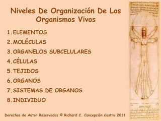 Niveles De Organización De Los
          Organismos Vivos
 1.ELEMENTOS
 2.MOLÉCULAS
 3.ORGANELOS SUBCELULARES
 4.CÉLULAS
 5.TEJIDOS
 6.ORGANOS
 7.SISTEMAS DE ORGANOS
 8.INDIVIDUO

Derechos de Autor Reservados © Richard C. Concepción Castro 2011
 