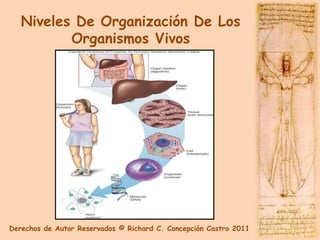 Niveles De Organización De Los
          Organismos Vivos




Derechos de Autor Reservados © Richard C. Concepción Castro 2011
 