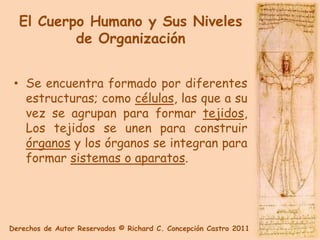 El Cuerpo Humano y Sus Niveles
          de Organización


 • Se encuentra formado por diferentes
   estructuras; como células, las que a su
   vez se agrupan para formar tejidos,
   Los tejidos se unen para construir
   órganos y los órganos se integran para
   formar sistemas o aparatos.




Derechos de Autor Reservados © Richard C. Concepción Castro 2011
 