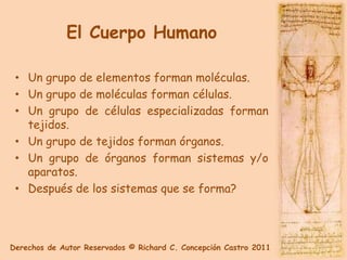 El Cuerpo Humano

 • Un grupo de elementos forman moléculas.
 • Un grupo de moléculas forman células.
 • Un grupo de células especializadas forman
   tejidos.
 • Un grupo de tejidos forman órganos.
 • Un grupo de órganos forman sistemas y/o
   aparatos.
 • Después de los sistemas que se forma?




Derechos de Autor Reservados © Richard C. Concepción Castro 2011
 