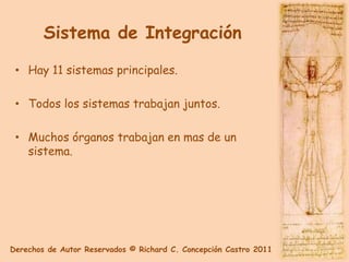 Sistema de Integración

 • Hay 11 sistemas principales.

 • Todos los sistemas trabajan juntos.

 • Muchos órganos trabajan en mas de un
   sistema.




Derechos de Autor Reservados © Richard C. Concepción Castro 2011
 