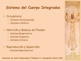 Sistema del Cuerpo Integrados

 • Circulatorio:
     – Sistema Cardiovascular
     – Sistema Linfático


 • Nutrición y Balance de Fluidos:
     – Sistema Respiratorio
     – Sistema Digestivo
     – Sistema Urinario


 • Reproducción y Desarrollo:
     – Sistema Reproductivo


Derechos de Autor Reservados © Richard C. Concepción Castro 2011
 
