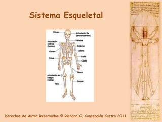 Sistema Esqueletal




Derechos de Autor Reservados © Richard C. Concepción Castro 2011
 
