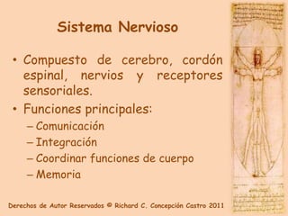 Sistema Nervioso

 • Compuesto de cerebro, cordón
   espinal, nervios y receptores
   sensoriales.
 • Funciones principales:
     – Comunicación
     – Integración
     – Coordinar funciones de cuerpo
     – Memoria

Derechos de Autor Reservados © Richard C. Concepción Castro 2011
 