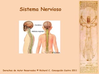 Sistema Nervioso




Derechos de Autor Reservados © Richard C. Concepción Castro 2011
 
