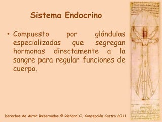 Sistema Endocrino

 • Compuesto      por     glándulas
   especializadas   que   segregan
   hormonas directamente a la
   sangre para regular funciones de
   cuerpo.




Derechos de Autor Reservados © Richard C. Concepción Castro 2011
 