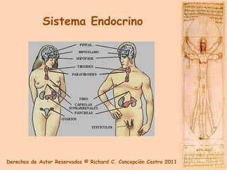 Sistema Endocrino




Derechos de Autor Reservados © Richard C. Concepción Castro 2011
 