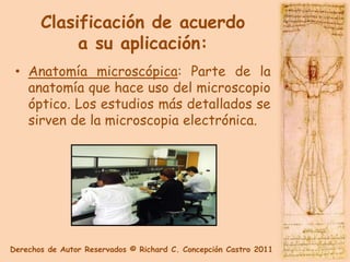Clasificación de acuerdo
            a su aplicación:
 • Anatomía microscópica: Parte de la
   anatomía que hace uso del microscopio
   óptico. Los estudios más detallados se
   sirven de la microscopia electrónica.




Derechos de Autor Reservados © Richard C. Concepción Castro 2011
 
