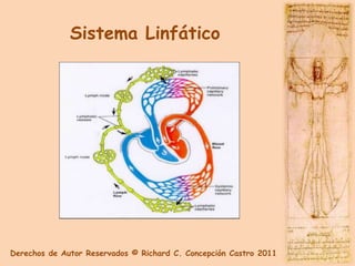 Sistema Linfático




Derechos de Autor Reservados © Richard C. Concepción Castro 2011
 