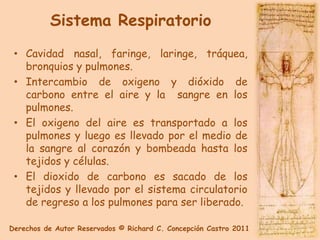 Sistema Respiratorio
 • Cavidad nasal, faringe, laringe, tráquea,
   bronquios y pulmones.
 • Intercambio de oxigeno y dióxido de
   carbono entre el aire y la sangre en los
   pulmones.
 • El oxigeno del aire es transportado a los
   pulmones y luego es llevado por el medio de
   la sangre al corazón y bombeada hasta los
   tejidos y células.
 • El dioxido de carbono es sacado de los
   tejidos y llevado por el sistema circulatorio
   de regreso a los pulmones para ser liberado.

Derechos de Autor Reservados © Richard C. Concepción Castro 2011
 