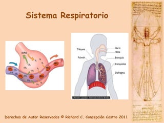 Sistema Respiratorio




Derechos de Autor Reservados © Richard C. Concepción Castro 2011
 
