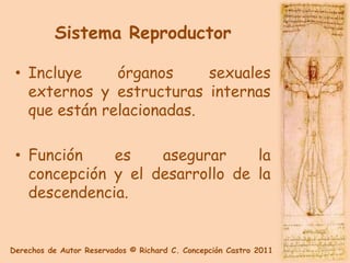 Sistema Reproductor

 • Incluye     órganos     sexuales
   externos y estructuras internas
   que están relacionadas.

 • Función    es    asegurar     la
   concepción y el desarrollo de la
   descendencia.


Derechos de Autor Reservados © Richard C. Concepción Castro 2011
 