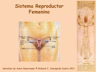 Sistema Reproductor
               Femenino




Derechos de Autor Reservados © Richard C. Concepción Castro 2011
 
