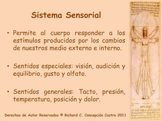 Sistema Sensorial

 • Permite al cuerpo responder a los
   estímulos producidos por los cambios
   de nuestros medio externo e interno.

 • Sentidos especiales: visión, audición y
   equilibrio, gusto y olfato.

 • Sentidos generales: Tacto, presión,
   temperatura, posición y dolor.

Derechos de Autor Reservados © Richard C. Concepción Castro 2011
 