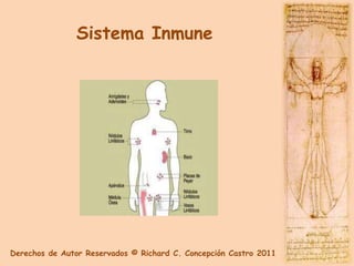 Sistema Inmune




Derechos de Autor Reservados © Richard C. Concepción Castro 2011
 