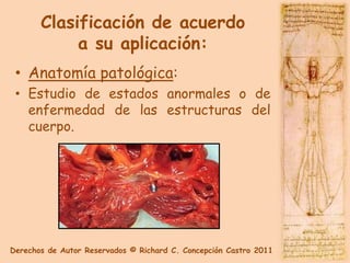 Clasificación de acuerdo
            a su aplicación:
 • Anatomía patológica:
 • Estudio de estados anormales o de
   enfermedad de las estructuras del
   cuerpo.




Derechos de Autor Reservados © Richard C. Concepción Castro 2011
 
