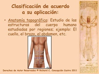 Clasificación de acuerdo
            a su aplicación:
 • Anatomía topográfica: Estudio de las
   estructuras del cuerpo humano
   estudiadas por regiones; ejemplo: El
   cuello, el brazo, el abdomen, etc.




Derechos de Autor Reservados © Richard C. Concepción Castro 2011
 