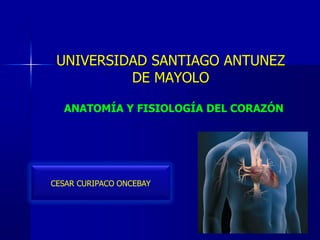 UNIVERSIDAD SANTIAGO ANTUNEZ
DE MAYOLO
CESAR CURIPACO ONCEBAY
ANATOMÍA Y FISIOLOGÍA DEL CORAZÓN
 