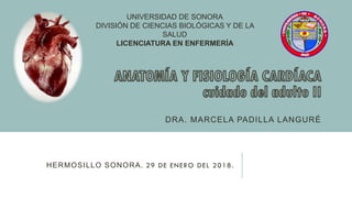 DRA. MARCELA PADILLA LANGURÉ
UNIVERSIDAD DE SONORA
DIVISIÓN DE CIENCIAS BIOLÓGICAS Y DE LA
SALUD
LICENCIATURA EN ENFERMERÍA
HERMOSILLO SONORA. 29 DE ENERO DEL 2018.
 