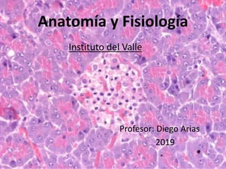 Anatomía y Fisiología
Instituto del Valle
Profesor: Diego Arias
2019
 