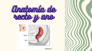 Anatomia y fisiología de Colon, recto y ano.pdf