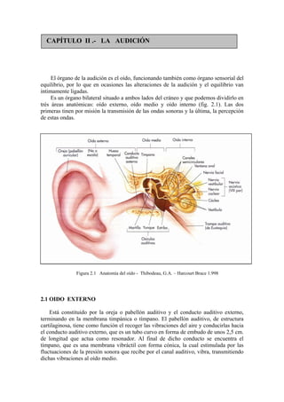 CAPÍTULO II .- LA AUDICIÓN




     El órgano de la audición es el oído, funcionando también como órgano sensorial del
equilibrio, por lo que en ocasiones las alteraciones de la audición y el equilibrio van
intimamente ligadas.
     Es un órgano bilateral situado a ambos lados del cráneo y que podemos dividirlo en
trés áreas anatómicas: oído externo, oído medio y oído interno (fig. 2.1). Las dos
primeras tinen por misión la transmisión de las ondas sonoras y la última, la percepción
de estas ondas.




               Figura 2.1 Anatomía del oído - Thibodeau, G.A. – Harcourt Brace 1.998




2.1 OIDO EXTERNO

    Está constituido por la oreja o pabellón auditivo y el conducto auditivo externo,
terminando en la membrana timpánica o tímpano. El pabellón auditivo, de estructura
cartilaginosa, tiene como función el recoger las vibraciones del aire y conducirlas hacia
el conducto auditivo externo, que es un tubo curvo en forma de embudo de unos 2,5 cm.
de longitud que actua como resonador. Al final de dicho conducto se encuentra el
tímpano, que es una membrana vibráctil con forma cónica, la cual estimulada por las
fluctuaciones de la presión sonora que recibe por el canal auditivo, vibra, transmitiendo
dichas vibraciones al oído medio.
 