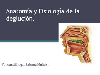 Anatomía y Fisiología de la
deglución.
Fonoaudióloga: Paloma Núñez .
 