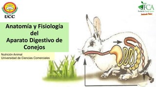 Anatomía y Fisiología
del
Aparato Digestivo de
Conejos
Nutrición Animal
Universidad de Ciencias Comerciales
 