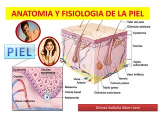 ANATOMIA Y FISIOLOGIA DE LA PIEL

Gómez Saldaña Albert José

 