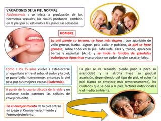 VARIACIONES DE LA PIEL NORMAL
Adolescencia : se inicia la producción de las
hormonas sexuales, las cuales producen cambios
en la piel por su estímulo a las glándulas sebáceas.

HOMBRE
La piel pierde su tersura, se hace más áspera , con aparición de
vello grueso, barba, bigote, pelo axilar y pubiano, la piel se hace
grasosa, sobre todo en la piel cabelluda, cara y tronco, aparecen
barros y espinillas (Acné) y se inicia la función de glándulas
sudoríparas Apocrinas y se produce un sudor de olor característico.
Como a los 25 años vuelve a establecerse
un equilibrio entre el sebo, el sudor y la piel;
se pone bella nuevamente, entonces la piel
pasa por sus mejores etapas (Eudermia).
A partir de la cuarta década de la vida y en
adelante serán patentes las señales de
envejecimiento.
En el envejecimiento de la piel entran
en juego el Cronoenvejecimiento y
Fotonvejecimiento.

La piel se va secando, pierde poco a poco su
elasticidad y la atrofia hace su gradual
aparición, dependiendo del tipo de piel, el color (la
piel blanca se envejece más tempranamente), los
cuidados que se den a la piel, factores nutricionales
y el medio ambiente.

 