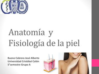 Anatomía y
Fisiología de la piel
Bueno Cabrera José Alberto
Universidad Cristóbal Colón
5°semestre Grupo A
 