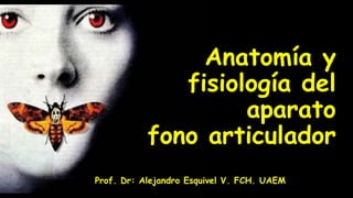 Anatomía y
fisiología del
aparato
fono articulador
Prof. Dr: Alejandro Esquivel V. FCH. UAEM
 