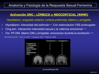 • Hipotálamo: intensidad del estímulo****. Con estimulación VSS prolongada*.
• Cing.ant.: interacción intensidad sexual y ...