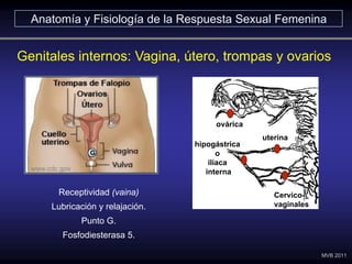 Genitales internos: Vagina, útero, trompas y ovarios
Anatomía y Fisiología de la Respuesta Sexual Femenina
www.cdc.gov
G
R...