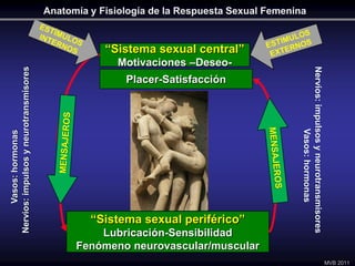 “Sistema sexual periférico”
Lubricación-Sensibilidad
Fenómeno neurovascular/muscular
“Sistema sexual central”
Motivaciones...