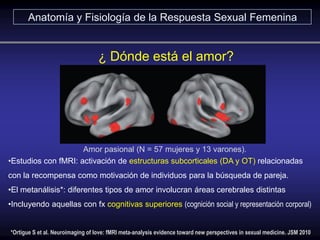 *Ortigue S et al. Neuroimaging of love: fMRI meta-analysis evidence toward new perspectives in sexual medicine. JSM 2010
•...