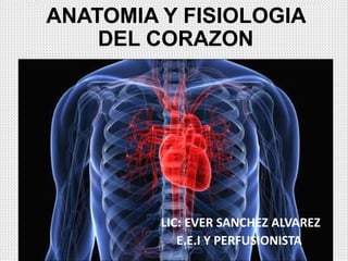 ANATOMIA Y FISIOLOGIA
DEL CORAZON
LIC: EVER SANCHEZ ALVAREZ
E.E.I Y PERFUSIONISTA
 