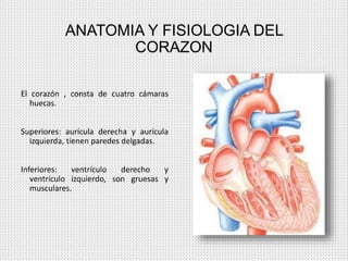 ANATOMIA Y FISIOLOGIA DEL
CORAZON
El corazón , consta de cuatro cámaras
huecas.
Superiores: aurícula derecha y aurícula
iz...